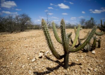 Governo Federal cria força-tarefa para enfrentar Super El Niño e acende alerta para o semiárido potiguar