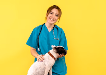 Nova lei torna crime atender animais sem habilitação veterinária