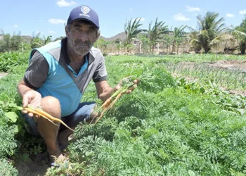 Finep destinará R$ 220 milhões para inovação na agricultura familiar; medida pode impulsionar projetos no RN