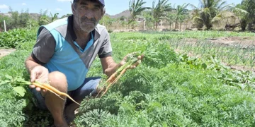 Finep destinará R$ 220 milhões para inovação na agricultura familiar; medida pode impulsionar projetos no RN