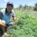Finep destinará R$ 220 milhões para inovação na agricultura familiar; medida pode impulsionar projetos no RN