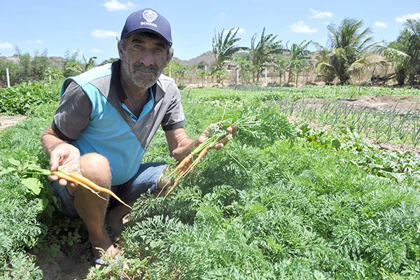 Finep destinará R$ 220 milhões para inovação na agricultura familiar; medida pode impulsionar projetos no RN