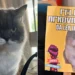 Lei Lucy: RN cria política de proteção para animais comunitários