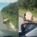 Caixão é encontrado abandonado na BR-304 em Mossoró