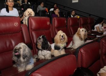 CINEPET RN realiza a 40ª edição neste domingo (19), no Moviecom Praia Shopping