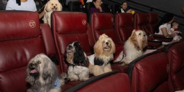 CINEPET RN realiza a 40ª edição neste domingo (19), no Moviecom Praia Shopping