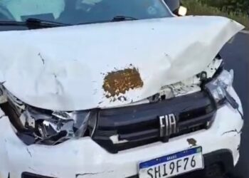 Filho de Neto Araújo sofre acidente a caminho do velório do pai na RN-118