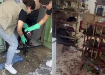 25 cães e gatos de raça em situação de maus-tratos são resgatados em Mossoró