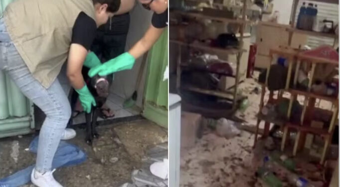 25 cães e gatos de raça em situação de maus-tratos são resgatados em Mossoró