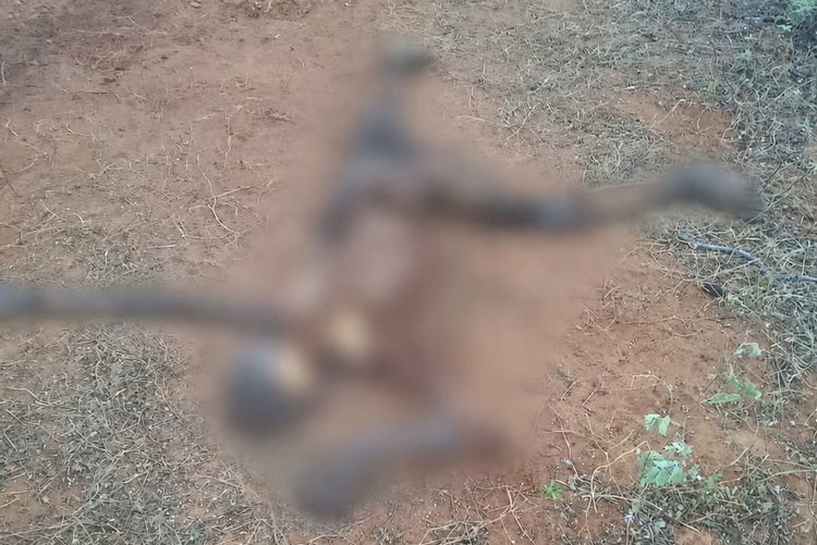Ossada humana é encontrada no interior do RN
