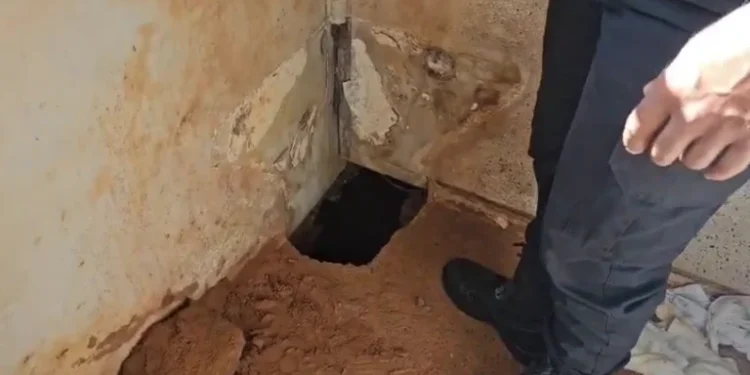 Detentos abriram passagem por tubulação de vaso sanitário para fugir de penitenciária, diz Seap