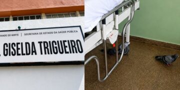 Pombos invadem enfermaria do Hospital Giselda Trigueiro e Sindsaúde cobra providências