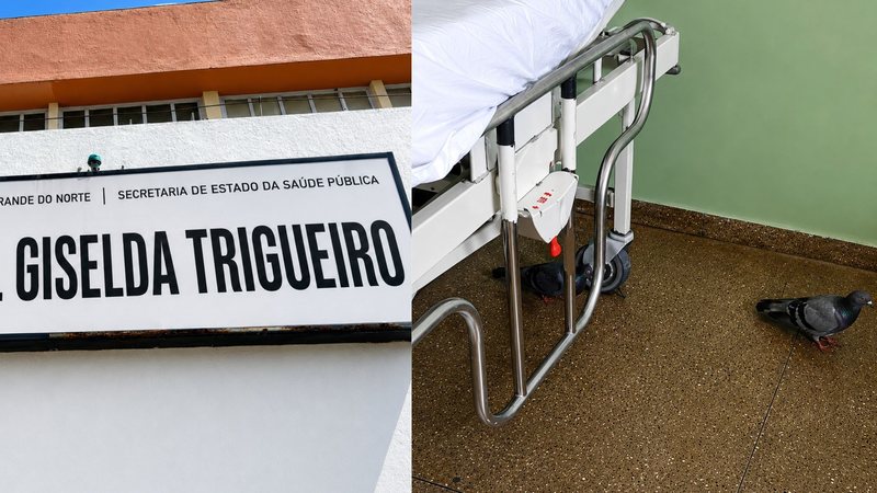 Pombos invadem enfermaria do Hospital Giselda Trigueiro e Sindsaúde cobra providências