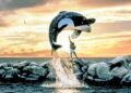 ‘Free Willy’: Clássico da “sessão da tarde” deve ganhar reboot nas telonas
