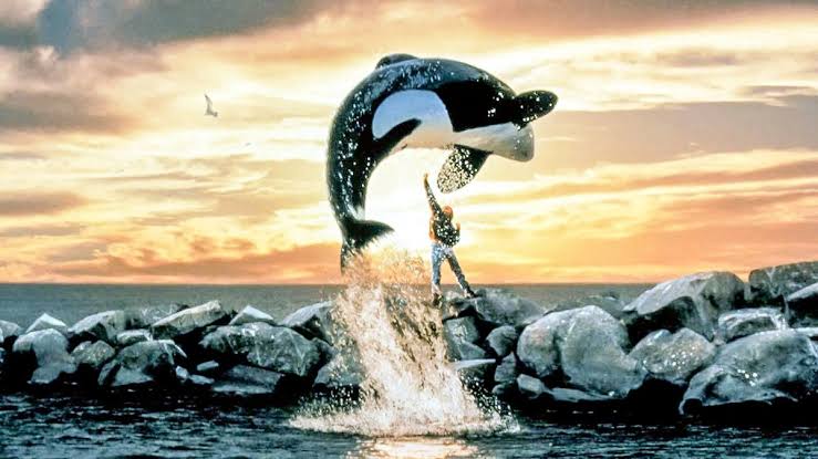 ‘Free Willy’: Clássico da “sessão da tarde” deve ganhar reboot nas telonas