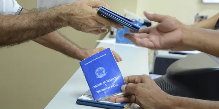 RN registra menor desocupação da série histórica e tem informalidade mais baixa do Nordeste