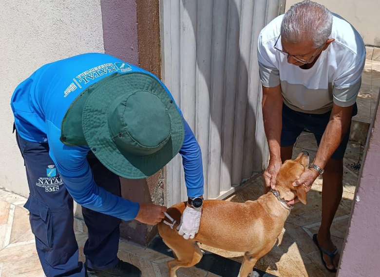 Campanha Antirrábica: confira os locais de vacinação deste sábado (22) em Natal