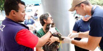 Parnamirim promove ações de conscientização durante o Agosto Verde, mês de combate à leishmaniose