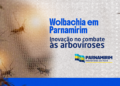 Parnamirim se prepara para receber método Wolbachia no combate à dengue, Zika e chikungunya
