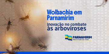 Parnamirim se prepara para receber método Wolbachia no combate à dengue, Zika e chikungunya