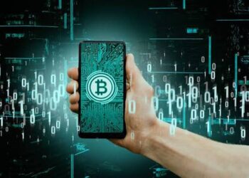 Custódia de criptomoedas: quais são as possibilidades?