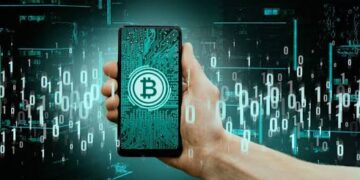 Custódia de criptomoedas: quais são as possibilidades?