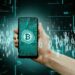 Custódia de criptomoedas: quais são as possibilidades?