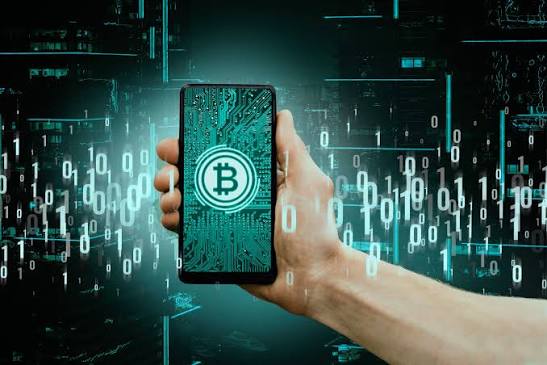 Custódia de criptomoedas: quais são as possibilidades?