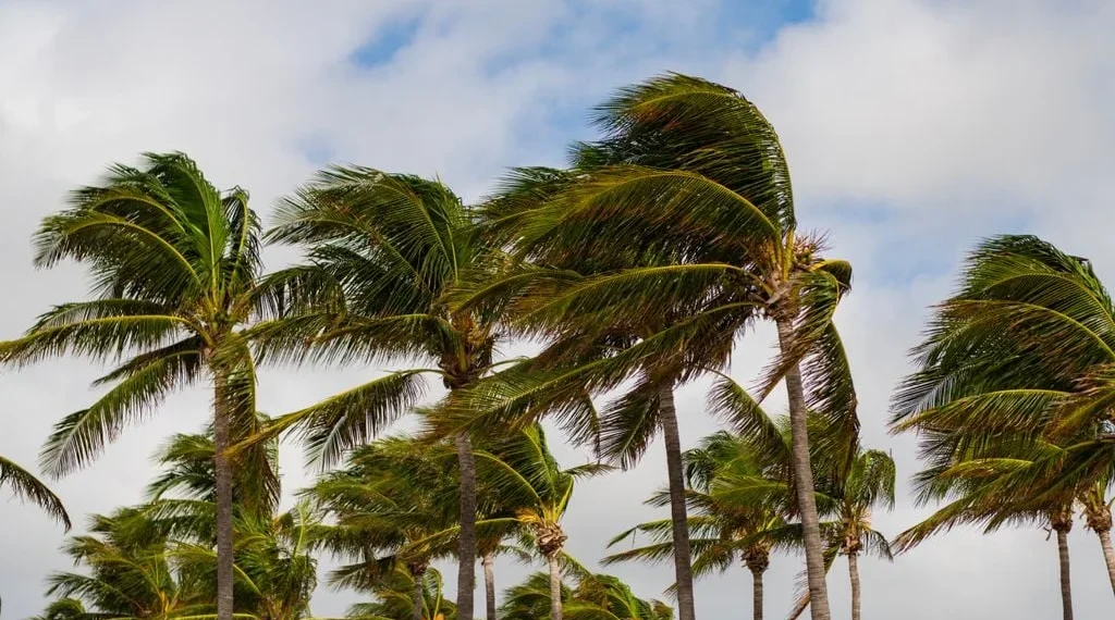 Inmet emite alertas de baixa umidade e vendaval para 88 cidades do RN