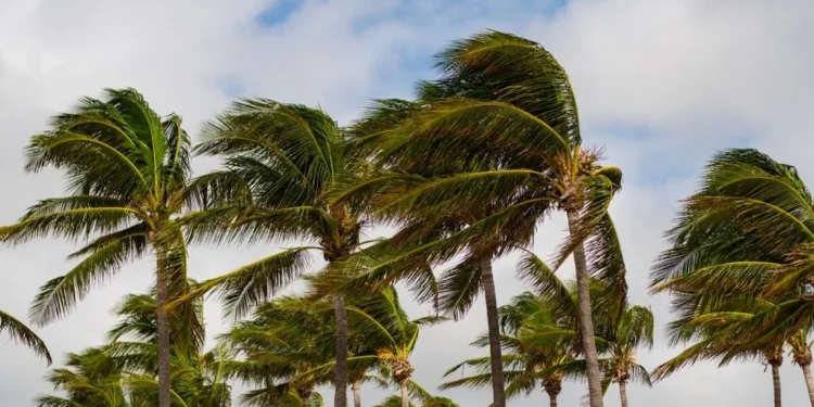 Inmet emite alertas de baixa umidade e vendaval para 88 cidades do RN
