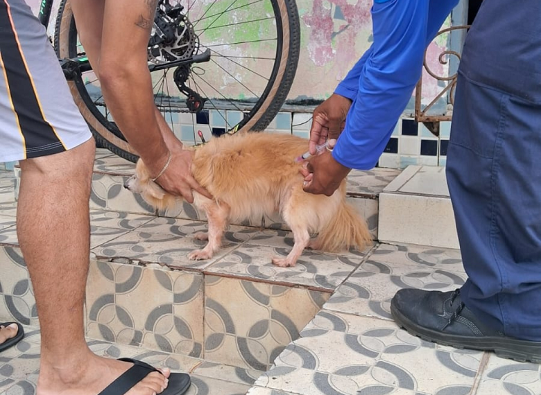 Quatro bairros de Natal recebem vacinação antirrábica porta a porta nesta semana
