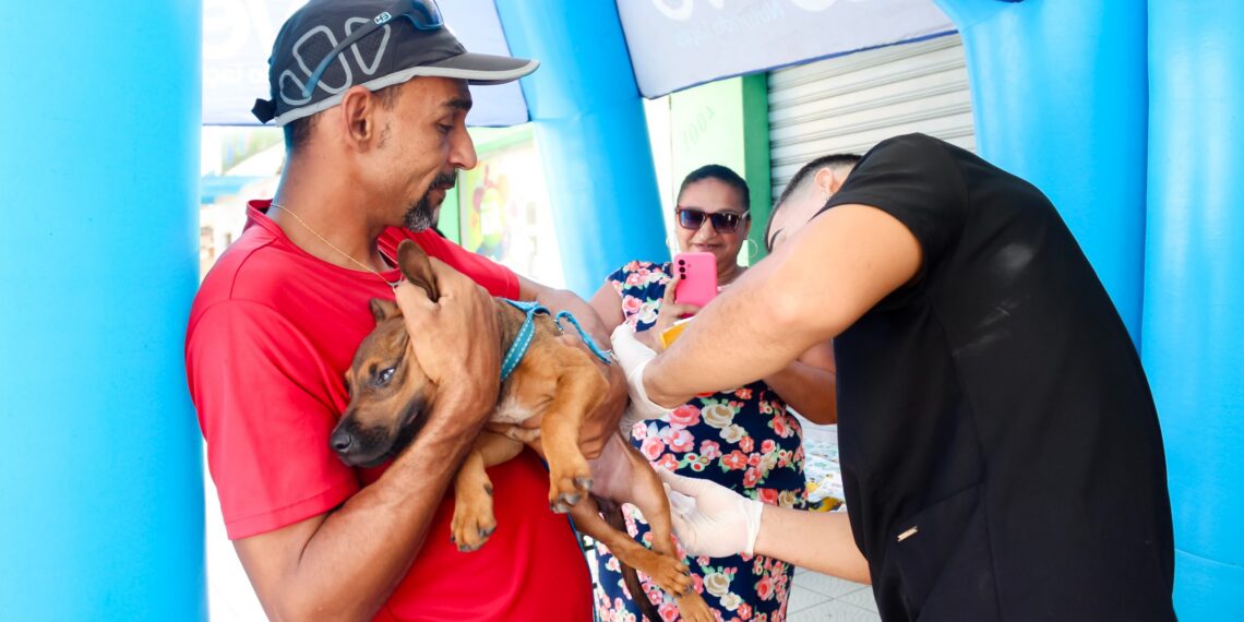 Pré-campanha antirrábica já imunizou mais de 8 mil animais em Parnamirim