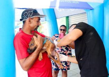 Pré-campanha antirrábica já imunizou mais de 8 mil animais em Parnamirim