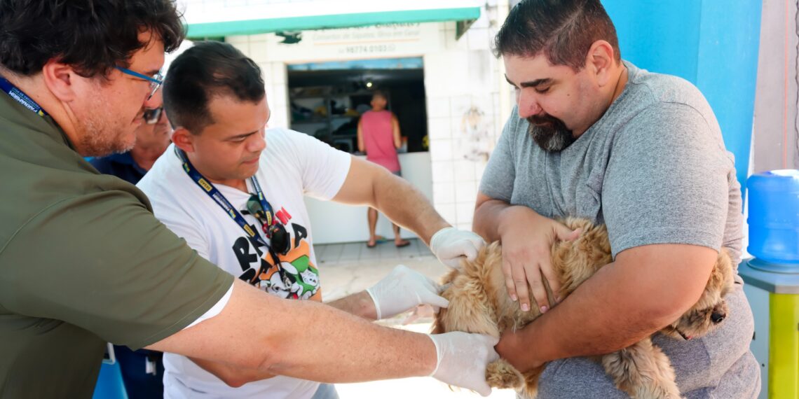Prefeitura de Parnamirim realiza Dia D de vacinação antirrábica no próximo sábado (26)