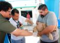 Prefeitura realiza Dia D de vacinação antirrábica no próximo sábado (26)
