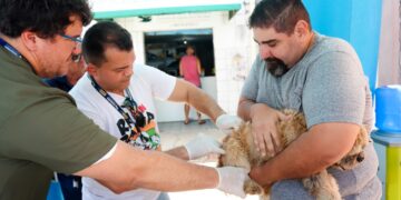 Prefeitura realiza Dia D de vacinação antirrábica no próximo sábado (26)