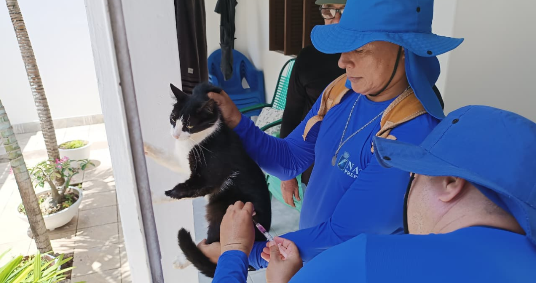 Natal: Confira os locais que recebem vacinação antirrábica porta a porta nesta semana