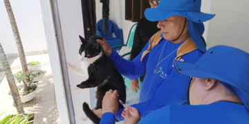 Natal: Confira os locais que recebem vacinação antirrábica porta a porta nesta semana