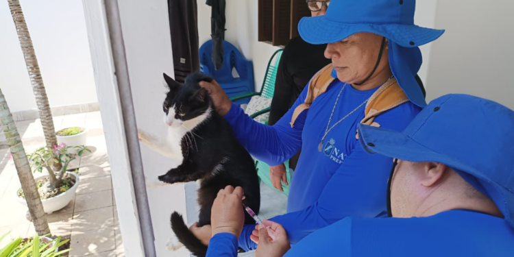 Natal: Confira os locais que recebem vacinação antirrábica porta a porta nesta semana
