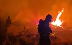 Incêndios em vegetação do RN aumentam em 2,5%; confira cuidados para prevenção