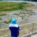 Nove municípios do Seridó entram em alerta por risco de colapso hídrico