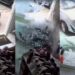 VÍDEO: Carro destrói vitrine e invade loja de calçados no interior do RN