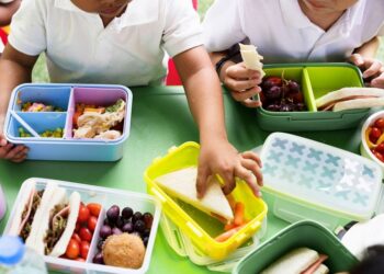 Educar para nutrir: a influência da educação alimentar no desenvolvimento infantil