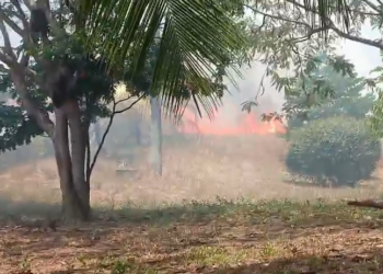 Incêndio atinge área de vegetação na UFRN e Bombeiros são acionados