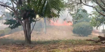 Incêndio atinge área de vegetação na UFRN e Bombeiros são acionados