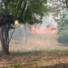 Incêndio atinge área de vegetação na UFRN e Bombeiros são acionados