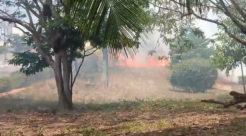 Incêndio atinge área de vegetação na UFRN e Bombeiros são acionados