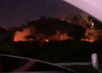 Incêndio atinge vegetação próxima ao prédio da Reitoria da UFRN. Bombeiros controlam chamas. Veja vídeo