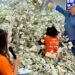 Entrega prêmios da Liquida será nesta quarta-feira (14) na sede da CDL Natal
