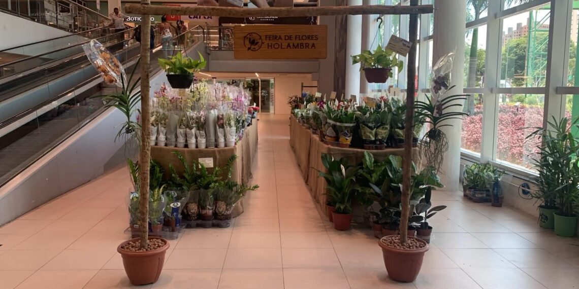 Holambra celebra a primavera com Feira de Flores que reúne mais de 200 espécies a partir de R$ 5